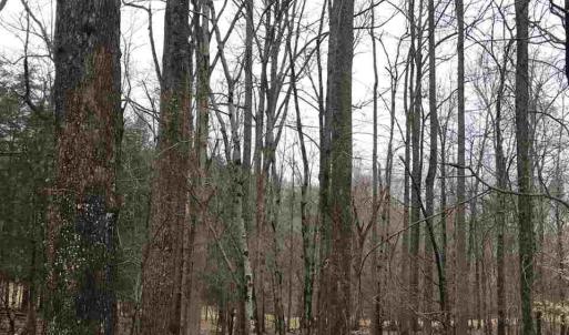 Photo #1 of 503 GARDEN LN, PALMYRA, VA 49.8 acres