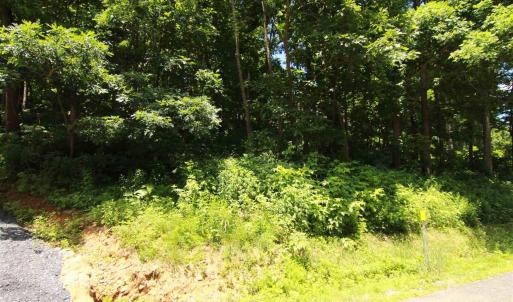Photo #2 of 340 CHESTNUT PL, WINTERGREEN RESORT, VA 0.6 acres