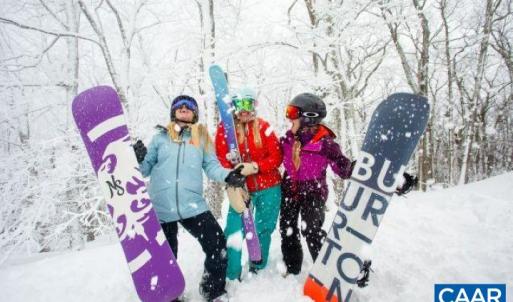 Photo #12 of 340 CHESTNUT PL, WINTERGREEN RESORT, VA 0.6 acres