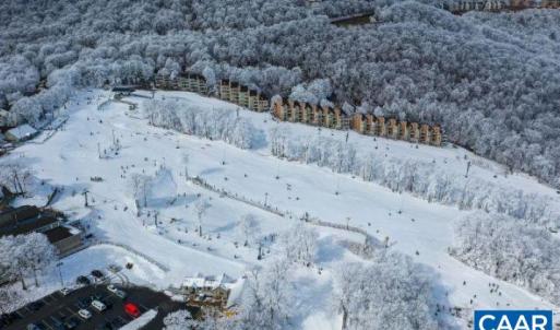 Photo #22 of 340 CHESTNUT PL, WINTERGREEN RESORT, VA 0.6 acres