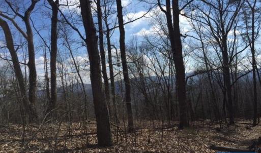 Photo #1 of 00 MILL POND RD, FABER, VA 148.0 acres