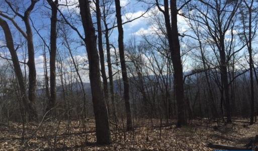 Photo #1 of MILL POND RD, FABER, VA 148.0 acres
