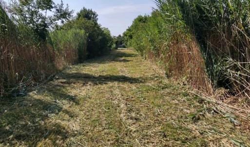 Photo #2 of Lot 1+ MAIN ST, CHINCOTEAGUE, VA 20.2 acres