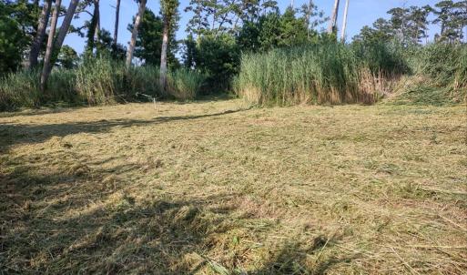 Photo #3 of Lot 1+ MAIN ST, CHINCOTEAGUE, VA 20.2 acres