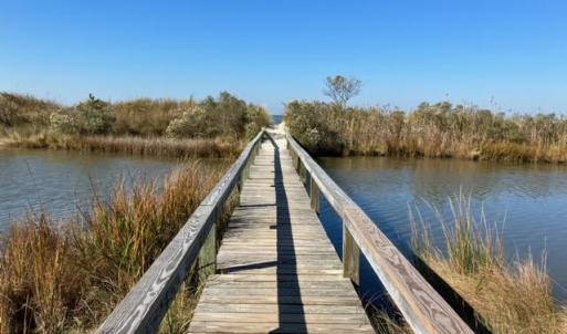 Walkway to the private beach