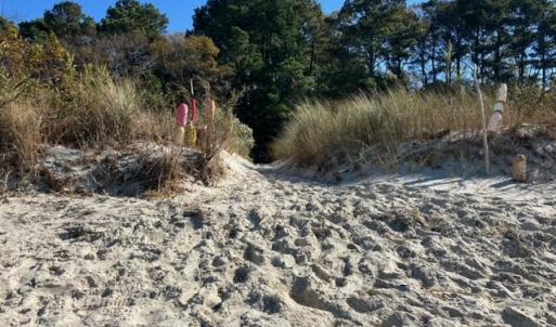 Walking off the beach