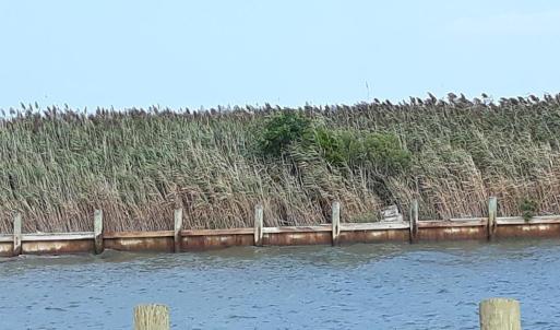 Photo #2 of L787 SEAVIEW ST, GREENBACKVILLE, VA 60.0 acres