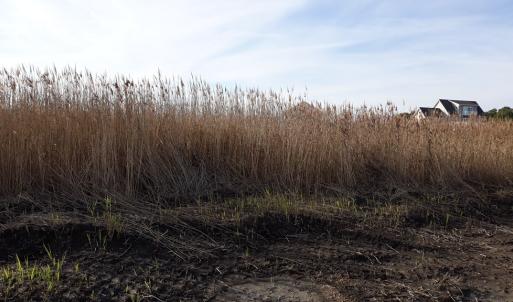 Photo #5 of L787 SEAVIEW ST, GREENBACKVILLE, VA 60.0 acres