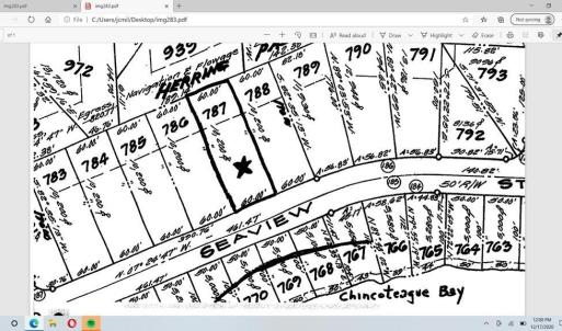 Photo #8 of L787 SEAVIEW ST, GREENBACKVILLE, VA 60.0 acres