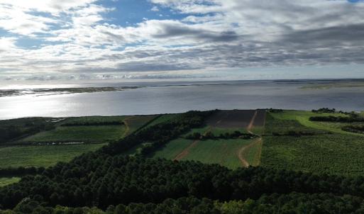 Photo #4 of Lt 1-6&A BELLEVUE CIR, LOCUSTVILLE, VA 25.0 acres