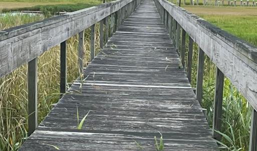 Photo #3 of Lot 57 LEWIS LANE, PARKSLEY, VA 1.1 acres