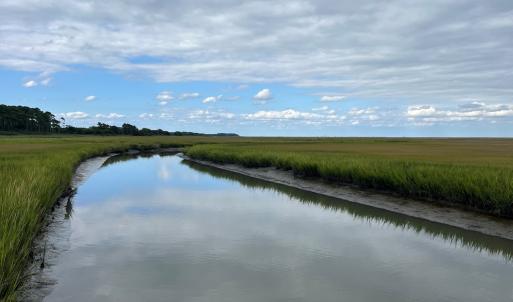 Photo #8 of Lot 57 LEWIS LANE, PARKSLEY, VA 1.1 acres