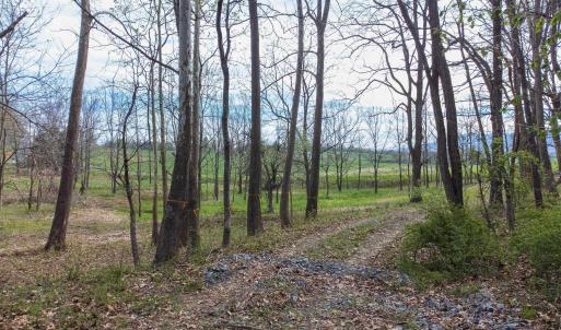 Photo #20 of TBD OLD B AND O RD, RAPHINE, VA 67.6 acres