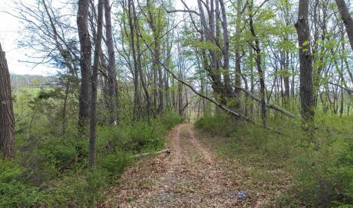 Photo #22 of TBD OLD B AND O RD, RAPHINE, VA 67.6 acres