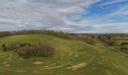 Photo #4 of TBD OLD B AND O RD, RAPHINE, VA 67.6 acres