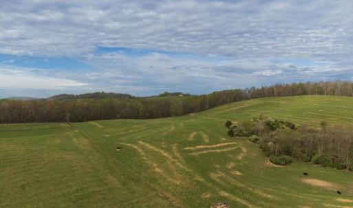 Photo #5 of TBD OLD B AND O RD, RAPHINE, VA 67.6 acres