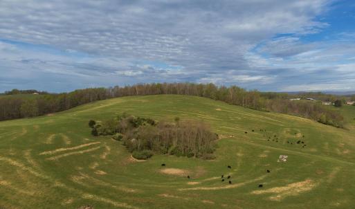 Photo #3 of TBD OLD B AND O RD, RAPHINE, VA 67.6 acres