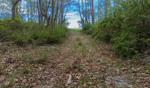 Photo #21 of TBD OLD B AND O RD, RAPHINE, VA 67.6 acres
