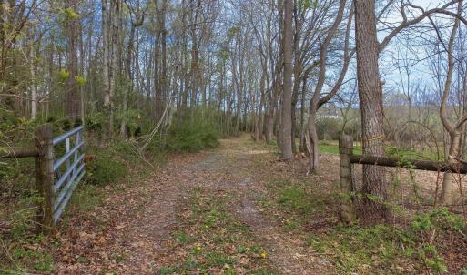 Photo #23 of TBD OLD B AND O RD, RAPHINE, VA 67.6 acres