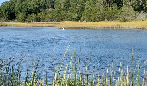 Photo #10 of Lot 1&2 HACKSNECK RD, HACKSNECK, VA 3.9 acres