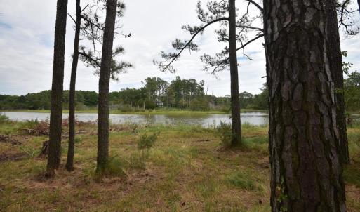 Waterfront Property