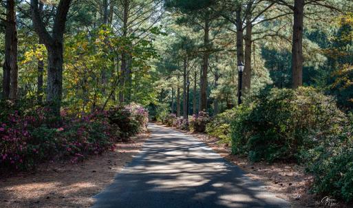 Photo #10 of 110 CREEKSIDE LN, CAPE CHARLES, VA 0.7 acres