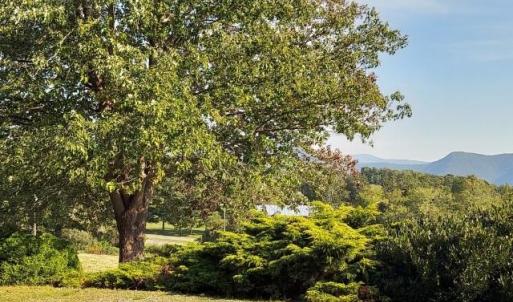 Photo #6 of tbd STERRETT RD, FAIRFIELD, VA 1.6 acres