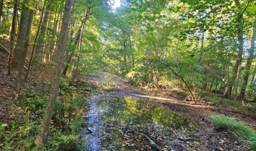 Photo #11 of B1C&B1E SAVAGEVILLE RD, ONANCOCK, VA 26.2 acres