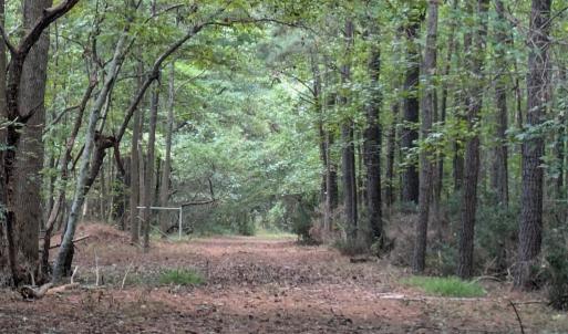 Photo #2 of B1C&B1E SAVAGEVILLE RD, ONANCOCK, VA 26.2 acres