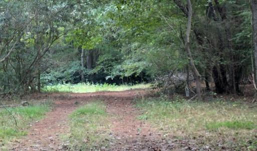 Photo #3 of B1C&B1E SAVAGEVILLE RD, ONANCOCK, VA 26.2 acres