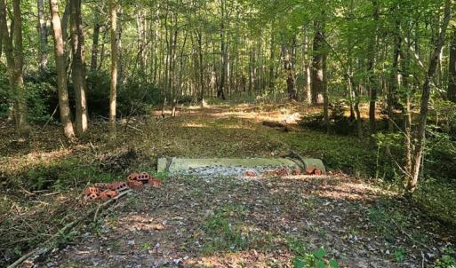 Photo #4 of B1C&B1E SAVAGEVILLE RD, ONANCOCK, VA 26.2 acres