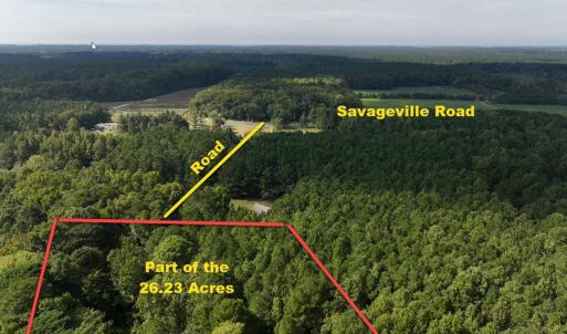 Photo #5 of B1C&B1E SAVAGEVILLE RD, ONANCOCK, VA 26.2 acres