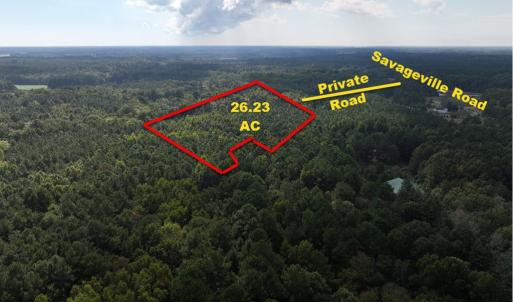 Photo #6 of B1C&B1E SAVAGEVILLE RD, ONANCOCK, VA 26.2 acres