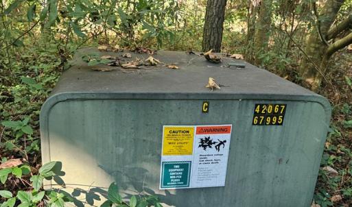 Photo #9 of B1C&B1E SAVAGEVILLE RD, ONANCOCK, VA 26.2 acres