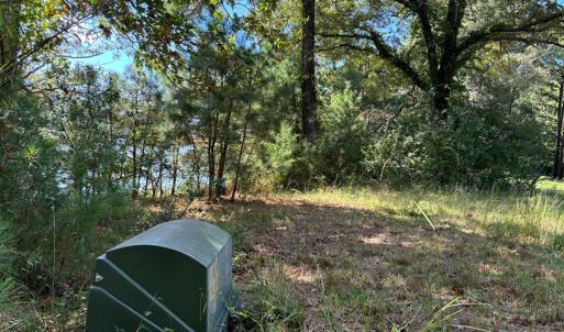 Photo #10 of Lot A-4 WHITE TAIL LANE, MACHIPONGO, VA 3.8 acres