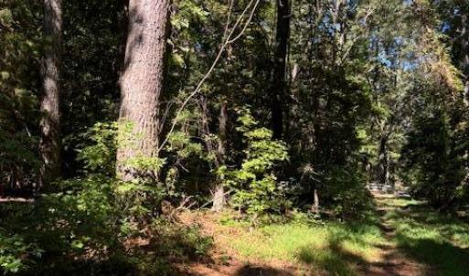 Photo #13 of Lot A-4 WHITE TAIL LANE, MACHIPONGO, VA 3.8 acres