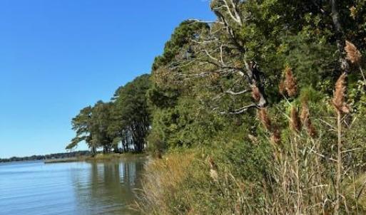 Photo #14 of Lot A-4 WHITE TAIL LANE, MACHIPONGO, VA 3.8 acres