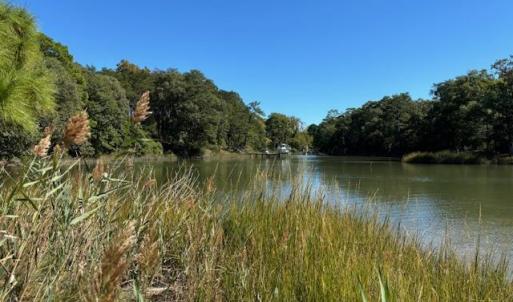 Photo #15 of Lot A-4 WHITE TAIL LANE, MACHIPONGO, VA 3.8 acres
