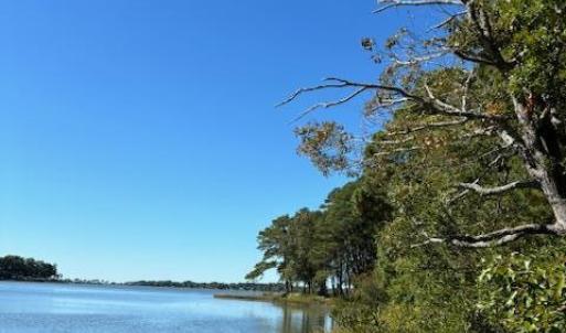 Photo #16 of Lot A-4 WHITE TAIL LANE, MACHIPONGO, VA 3.8 acres
