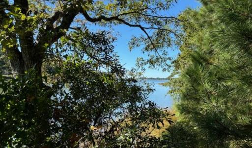 Photo #25 of Lot A-4 WHITE TAIL LANE, MACHIPONGO, VA 3.8 acres