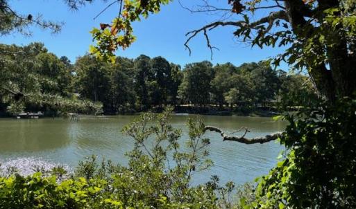 Photo #27 of Lot A-4 WHITE TAIL LANE, MACHIPONGO, VA 3.8 acres