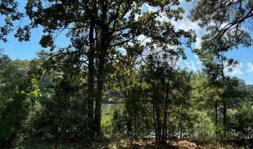Photo #5 of Lot A-4 WHITE TAIL LANE, MACHIPONGO, VA 3.8 acres
