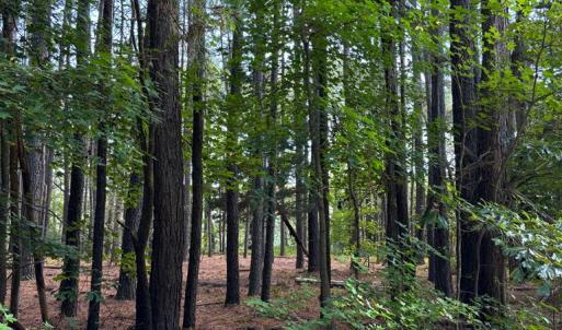 Photo #7 of Lot A-4 WHITE TAIL LANE, MACHIPONGO, VA 3.8 acres