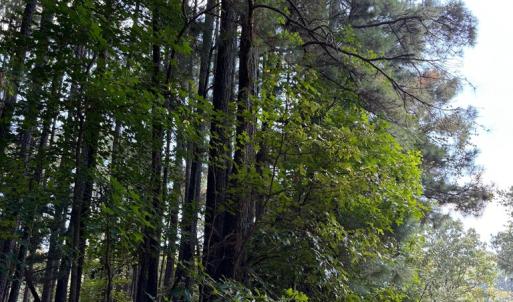 Photo #8 of Lot A-4 WHITE TAIL LANE, MACHIPONGO, VA 3.8 acres