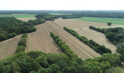 Photo #12 of OCCOHANNOCK NECK RD, BELLE HAVEN, VA 114.9 acres