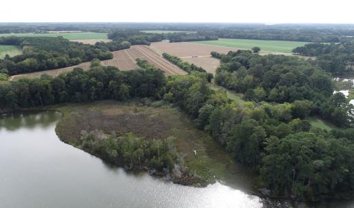 Photo #2 of OCCOHANNOCK NECK RD, BELLE HAVEN, VA 114.9 acres
