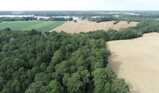 Photo #21 of OCCOHANNOCK NECK RD, BELLE HAVEN, VA 114.9 acres