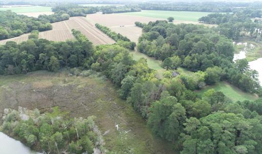 Photo #28 of OCCOHANNOCK NECK RD, BELLE HAVEN, VA 114.9 acres
