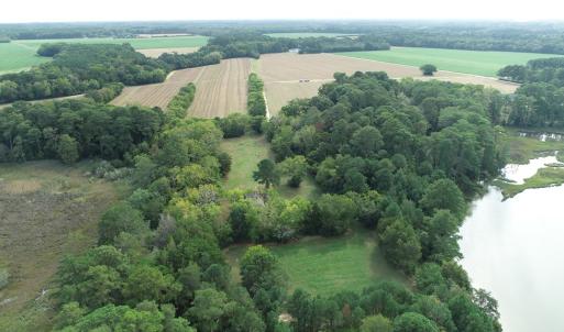 Photo #5 of OCCOHANNOCK NECK RD, BELLE HAVEN, VA 114.9 acres
