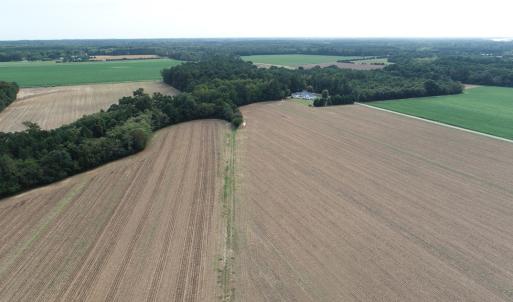 Photo #13 of OCCOHANNOCK NECK RD, BELLE HAVEN, VA 114.9 acres